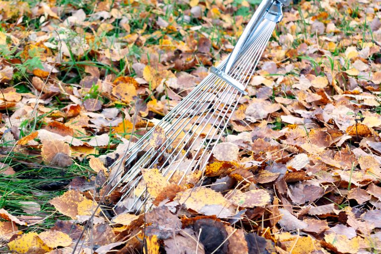 yard rake